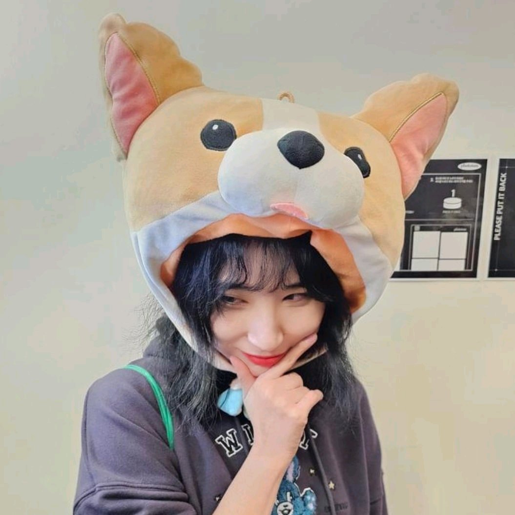 Bts corgi cheap hat