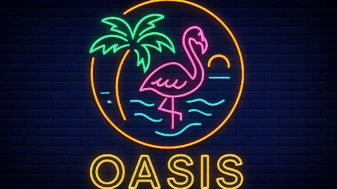 ✨ 오아시스 - 𝗛𝗶𝗴𝗵𝗯𝗮𝗹𝗹 Party 🥃 ✨